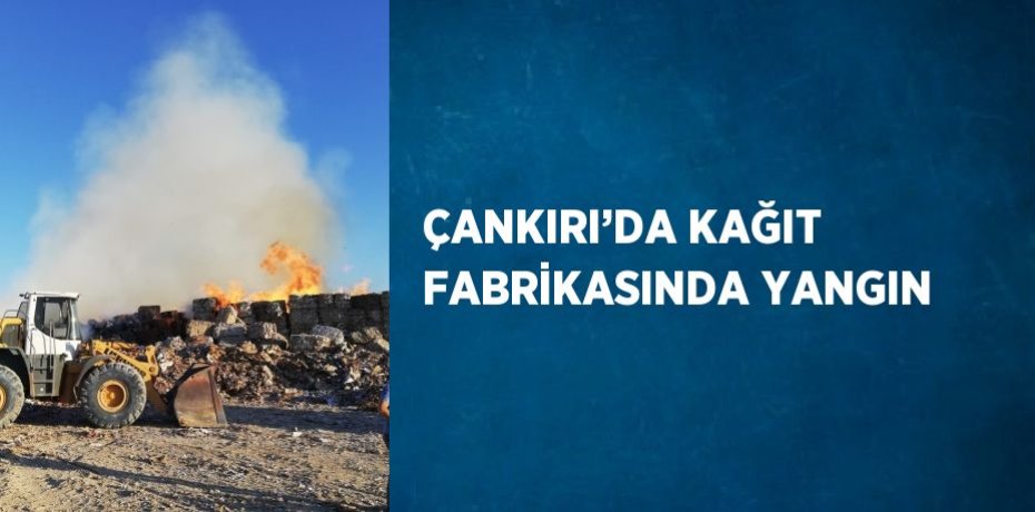 ÇANKIRI’DA KAĞIT FABRİKASINDA YANGIN