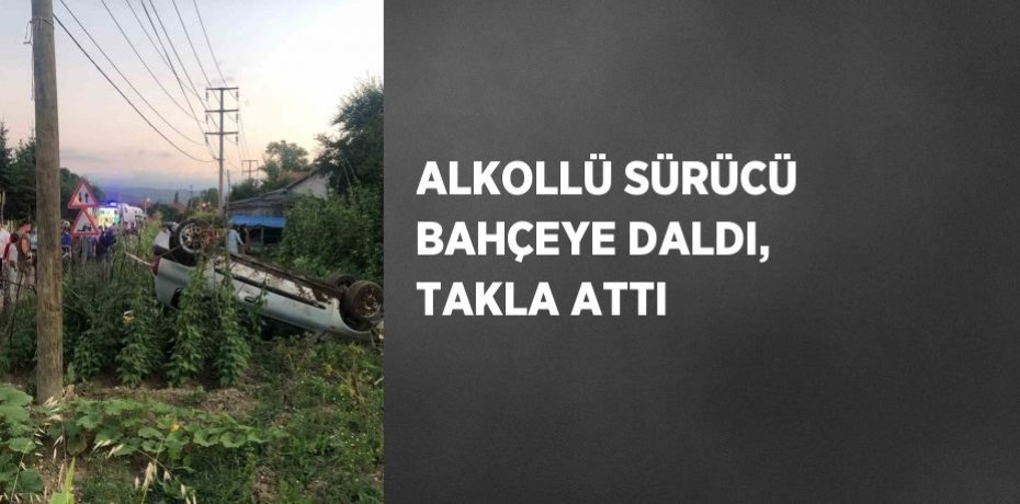 ALKOLLÜ SÜRÜCÜ BAHÇEYE DALDI, TAKLA ATTI