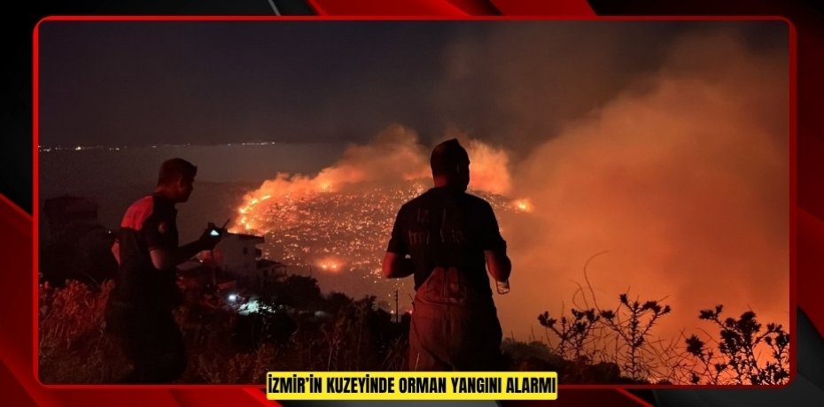İzmir’in kuzeyinde orman yangını alarmı  