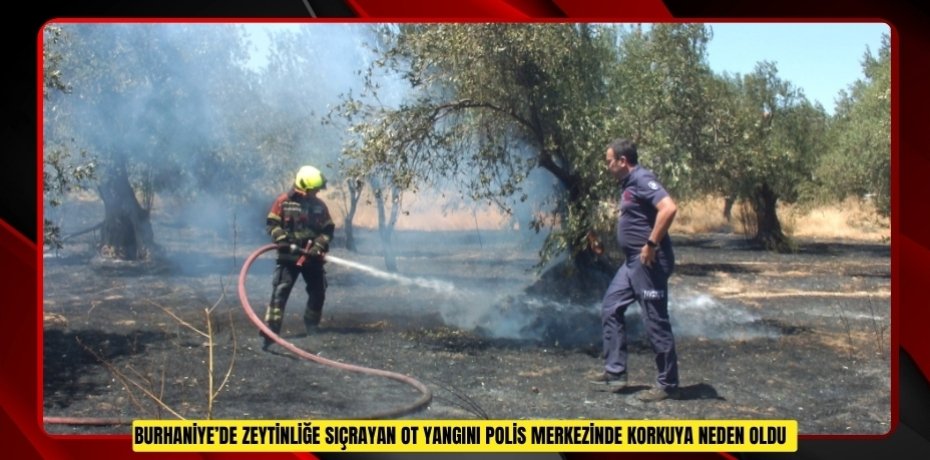 Burhaniye’de zeytinliğe sıçrayan ot yangını polis merkezinde korkuya neden oldu  