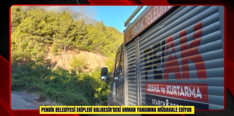 Pendik Belediyesi ekipleri Balıkesir'deki orman yangınına müdahale ediyor