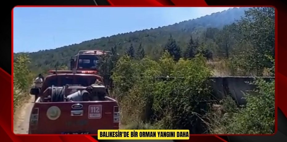 Balıkesir'de bir orman yangını daha  