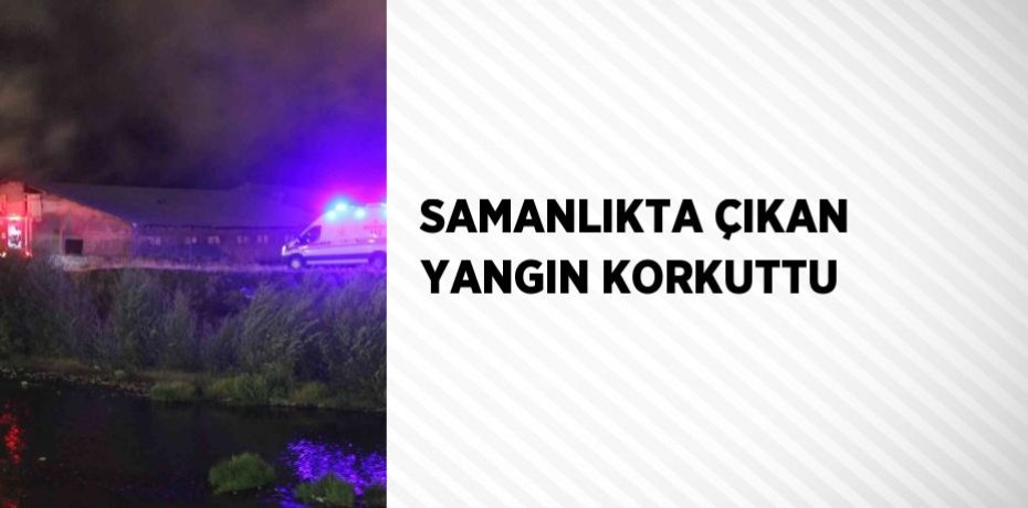 SAMANLIKTA ÇIKAN YANGIN KORKUTTU
