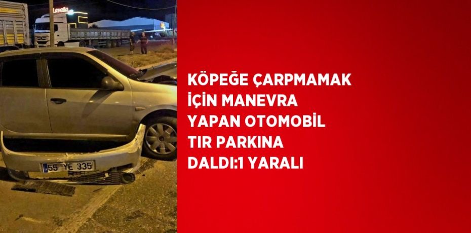 KÖPEĞE ÇARPMAMAK İÇİN MANEVRA YAPAN OTOMOBİL TIR PARKINA DALDI:1 YARALI