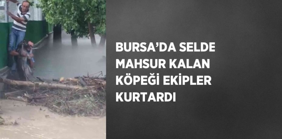BURSA’DA SELDE MAHSUR KALAN KÖPEĞİ EKİPLER KURTARDI