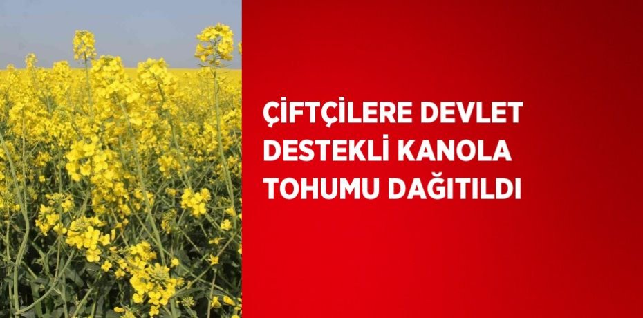 ÇİFTÇİLERE DEVLET DESTEKLİ KANOLA TOHUMU DAĞITILDI