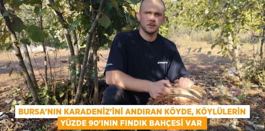 Bursa'nın Karadeniz'ini andıran köyde, köylülerin yüzde 90'ının fındık bahçesi var