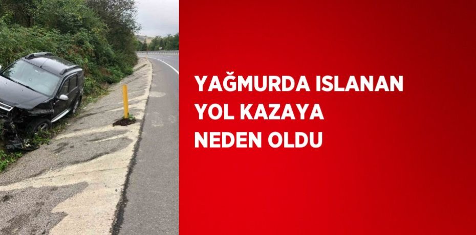 YAĞMURDA ISLANAN YOL KAZAYA NEDEN OLDU