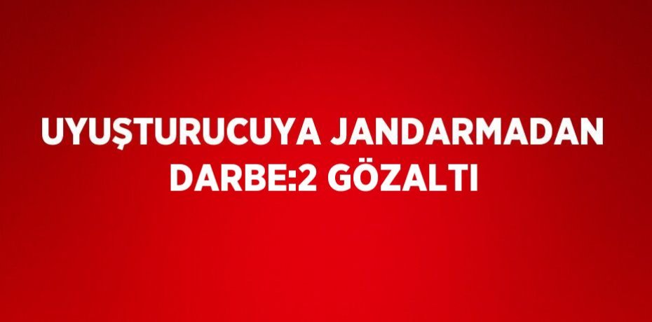 UYUŞTURUCUYA JANDARMADAN DARBE:2 GÖZALTI