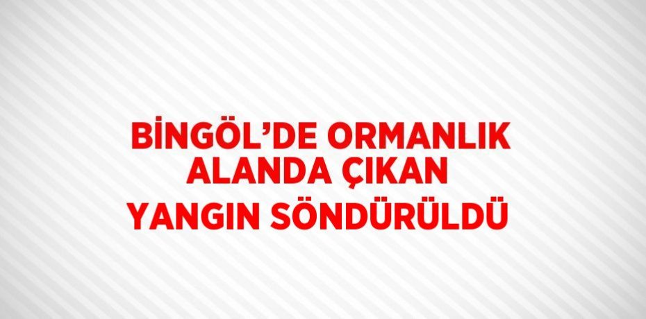 BİNGÖL’DE ORMANLIK ALANDA ÇIKAN YANGIN SÖNDÜRÜLDÜ