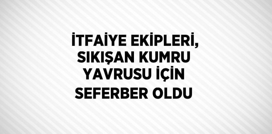 İTFAİYE EKİPLERİ, SIKIŞAN KUMRU YAVRUSU İÇİN SEFERBER OLDU