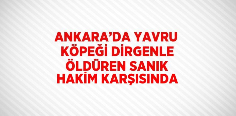 ANKARA’DA YAVRU KÖPEĞİ DİRGENLE ÖLDÜREN SANIK HAKİM KARŞISINDA