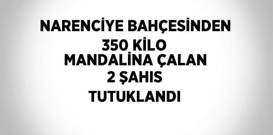 NARENCİYE BAHÇESİNDEN 350 KİLO MANDALİNA ÇALAN 2 ŞAHIS TUTUKLANDI