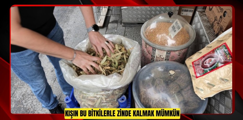  Kışın bu bitkilerle zinde kalmak mümkün