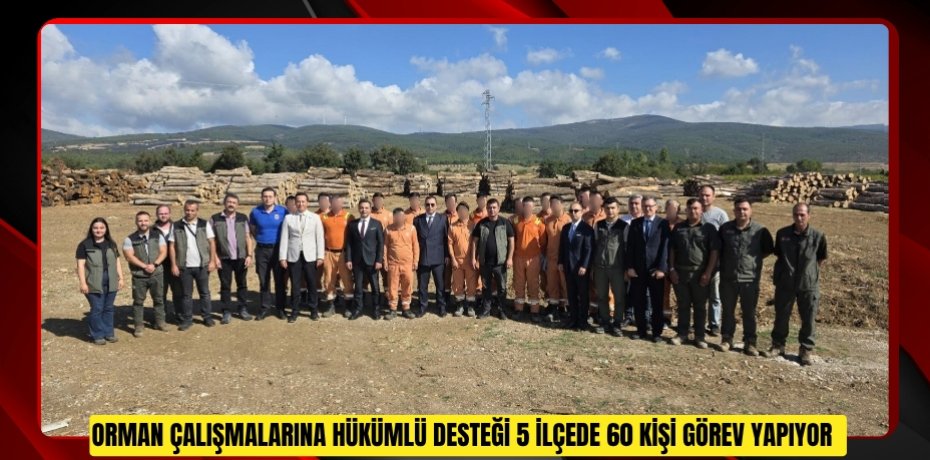  Orman çalışmalarına hükümlü desteği: 5 ilçede 60 kişi görev yapıyor  