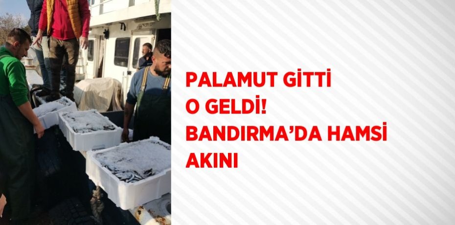 PALAMUT GİTTİ O GELDİ! BANDIRMA’DA HAMSİ AKINI