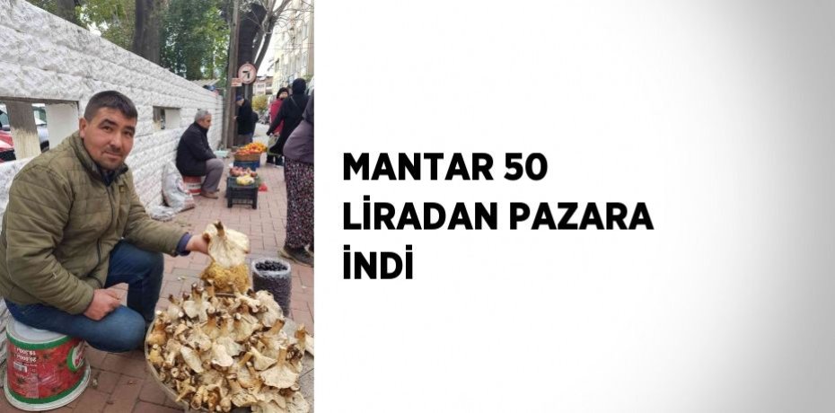 MANTAR 50 LİRADAN PAZARA İNDİ