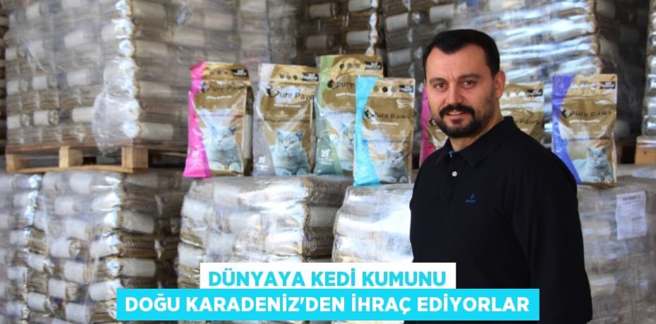 Dünyaya kedi kumunu Doğu Karadeniz'den ihraç ediyorlar