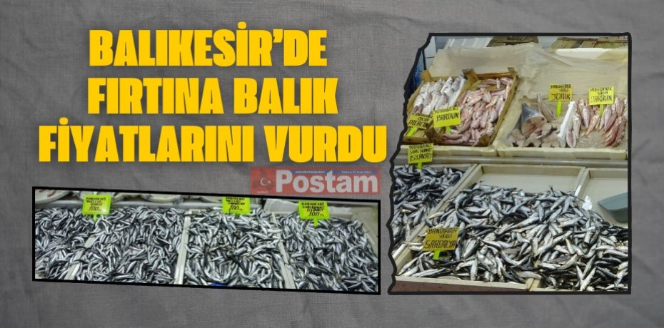 Balıkesir’de fırtına balık fiyatlarını vurdu