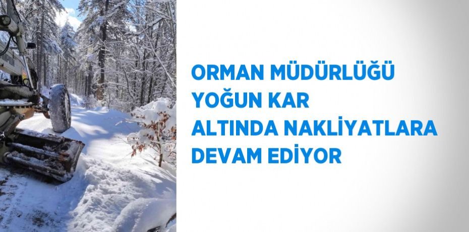 ORMAN MÜDÜRLÜĞÜ YOĞUN KAR ALTINDA NAKLİYATLARA DEVAM EDİYOR