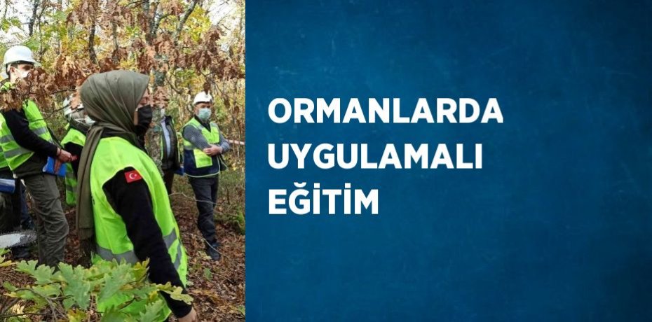 ORMANLARDA UYGULAMALI EĞİTİM