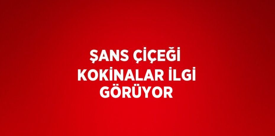 ŞANS ÇİÇEĞİ KOKİNALAR İLGİ GÖRÜYOR