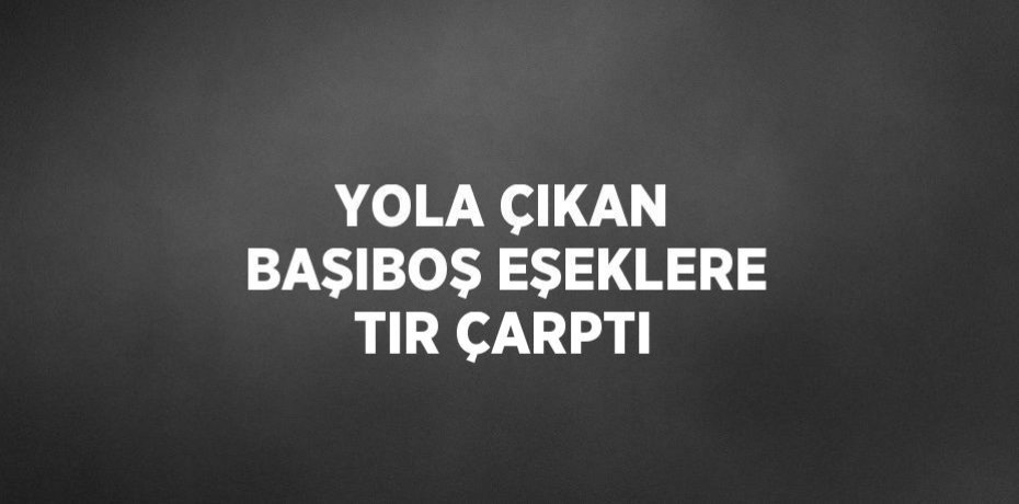 YOLA ÇIKAN BAŞIBOŞ EŞEKLERE TIR ÇARPTI