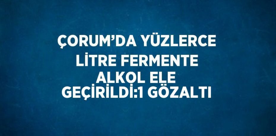ÇORUM’DA YÜZLERCE LİTRE FERMENTE ALKOL ELE GEÇİRİLDİ:1 GÖZALTI
