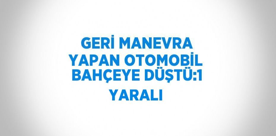 GERİ MANEVRA YAPAN OTOMOBİL BAHÇEYE DÜŞTÜ:1 YARALI