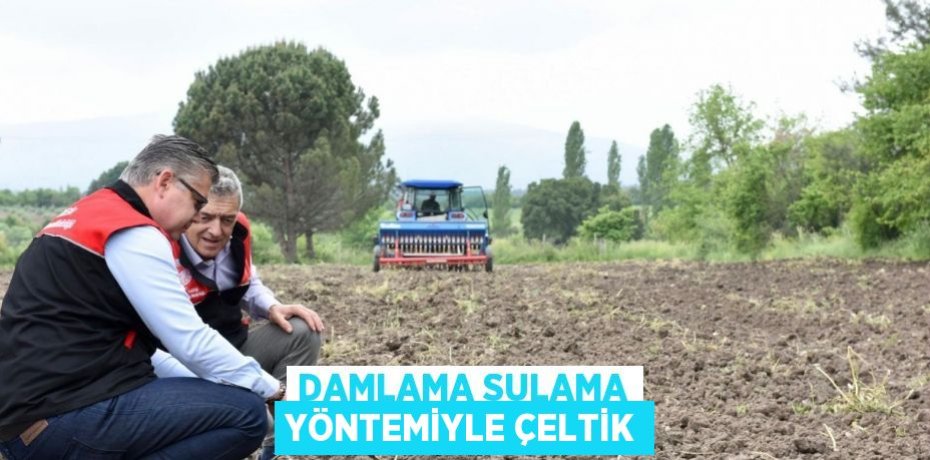 Damlama Sulama Yöntemiyle Çeltik