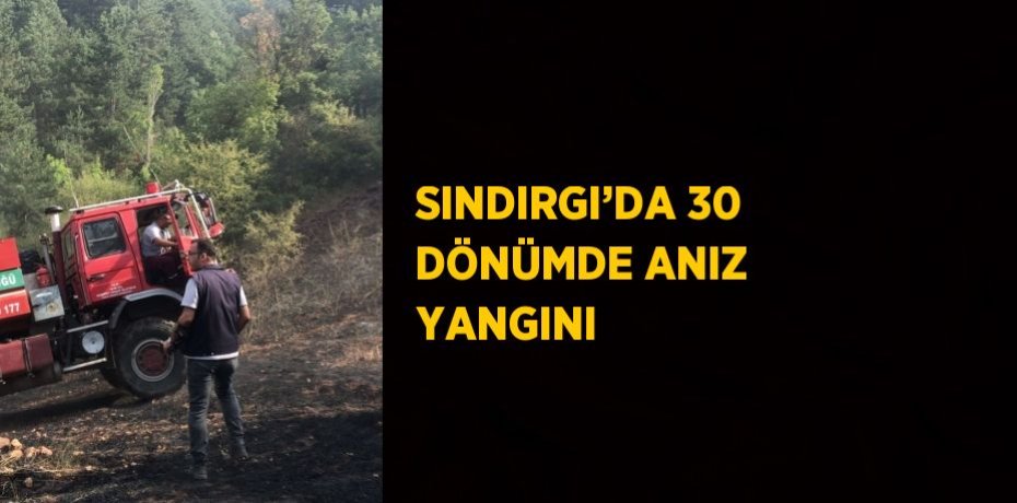 SINDIRGI’DA 30 DÖNÜMDE ANIZ YANGINI