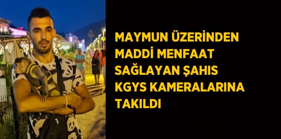 MAYMUN ÜZERİNDEN MADDİ MENFAAT SAĞLAYAN ŞAHIS KGYS KAMERALARINA TAKILDI