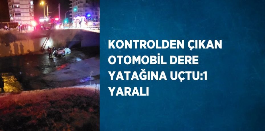 KONTROLDEN ÇIKAN OTOMOBİL DERE YATAĞINA UÇTU:1 YARALI