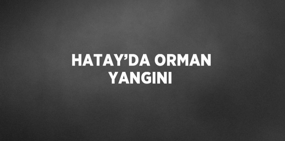 HATAY’DA ORMAN YANGINI