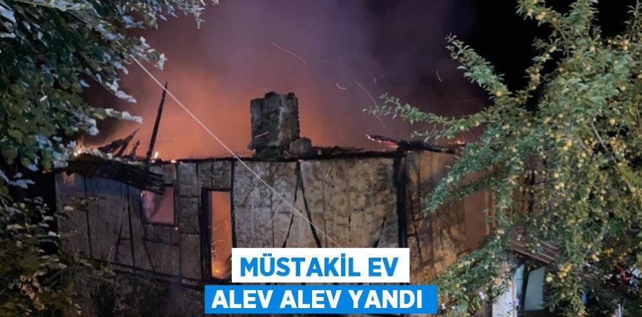 MÜSTAKİL EV ALEV ALEV YANDI