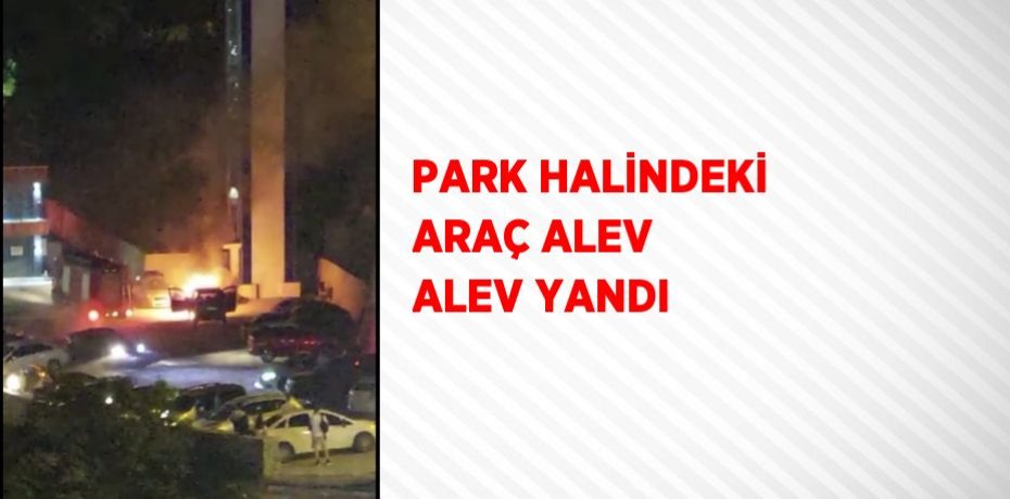 PARK HALİNDEKİ ARAÇ ALEV ALEV YANDI