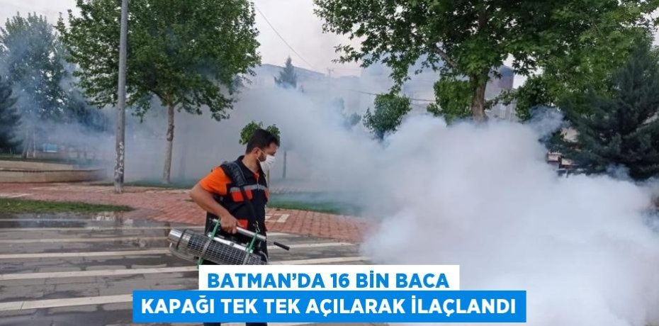 BATMAN’DA 16 BİN BACA KAPAĞI TEK TEK AÇILARAK İLAÇLANDI