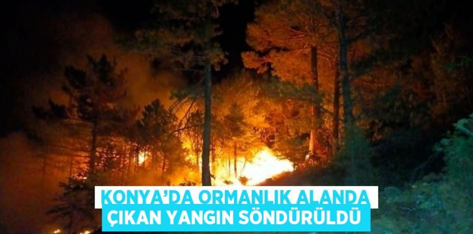 KONYA’DA ORMANLIK ALANDA ÇIKAN YANGIN SÖNDÜRÜLDÜ