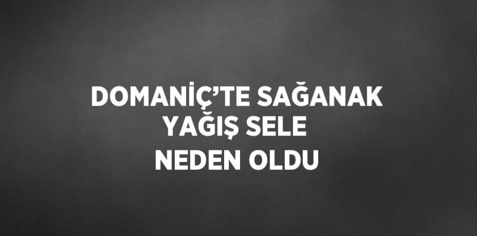 DOMANİÇ’TE SAĞANAK YAĞIŞ SELE NEDEN OLDU