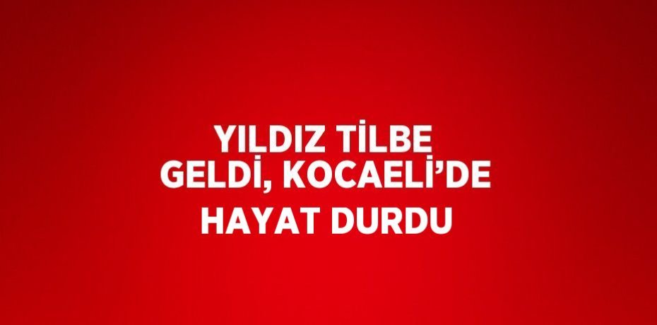 YILDIZ TİLBE GELDİ, KOCAELİ’DE HAYAT DURDU