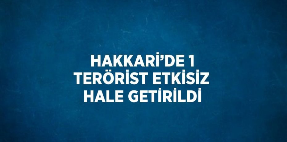 HAKKARİ’DE 1 TERÖRİST ETKİSİZ HALE GETİRİLDİ