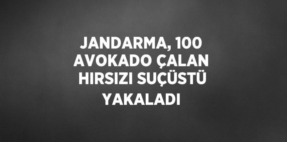 JANDARMA, 100 AVOKADO ÇALAN HIRSIZI SUÇÜSTÜ YAKALADI