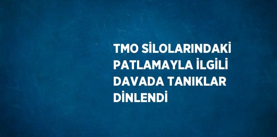 TMO SİLOLARINDAKİ PATLAMAYLA İLGİLİ DAVADA TANIKLAR DİNLENDİ